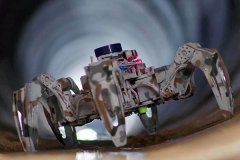 回忆教员以钱塘江大潮